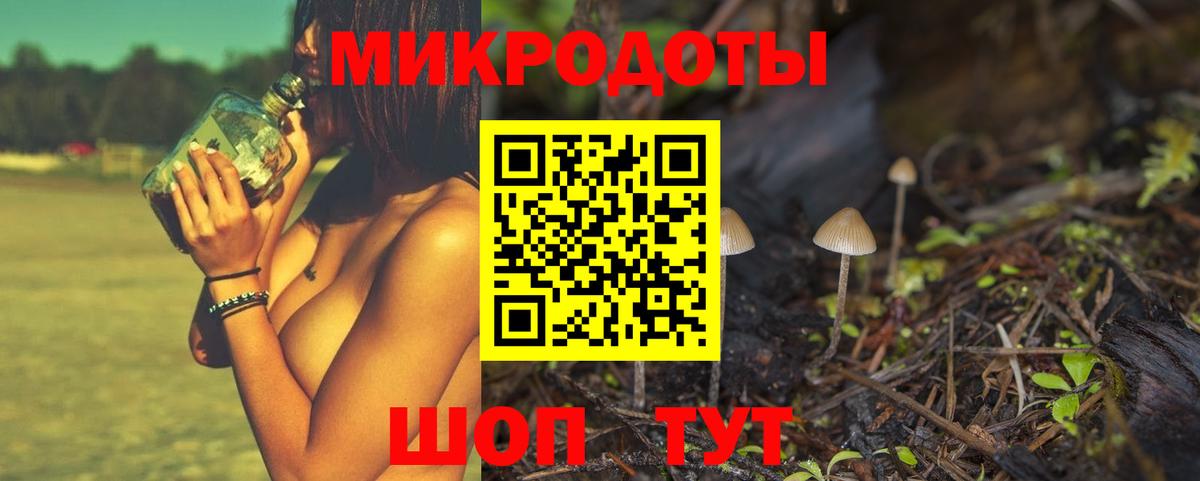 Черногорск  Псилоцибиновые грибы GOLDEN TEACHER  закладки  Вход с VPN 